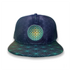 "Toroidal Energy" Snapback Hat